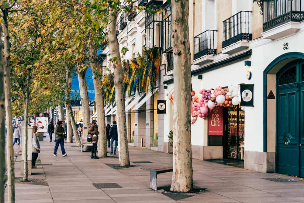 cenic view of Serrano Street in Salamanca District